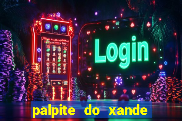 palpite do xande de hoje